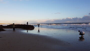 Beach at sunset