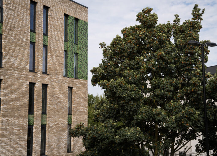 Apartment block and a tree in bloom.